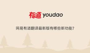 有道翻译：官网下载，安全可靠，翻译神器必备！
