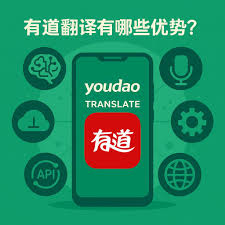有道翻译官免费下载安装：2025最新版，翻译神器再升级！