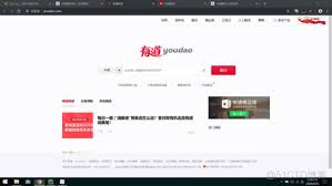 有道翻译语法纠正工具入门教程，有道app翻译